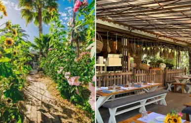 El restaurante más bonito de San José del Cabo está escondido entre girasoles y palmeras