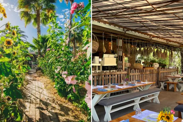 El restaurante más bonito de San José del Cabo está escondido entre girasoles y palmeras