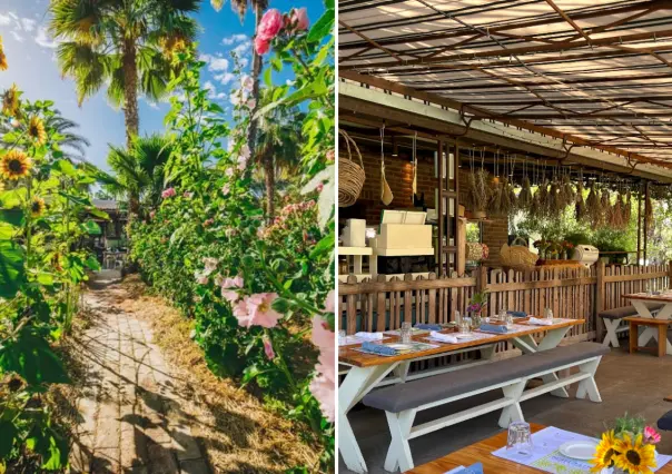 El restaurante más bonito de San José del Cabo está escondido entre girasoles y palmeras