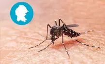 Aumentan a 15 los casos confirmados de dengue en Coahuila este 2025