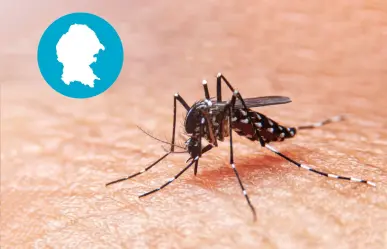 Aumentan a 15 los casos confirmados de dengue en Coahuila este 2025