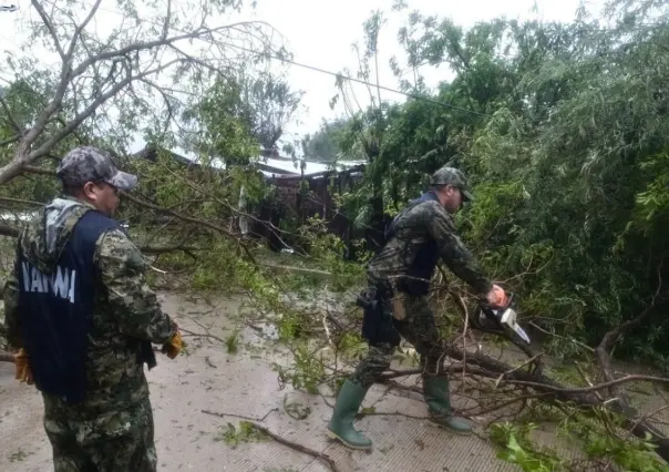 Erick deja un menor muerto y decenas de daños materiales en Guerrero y Oaxaca
