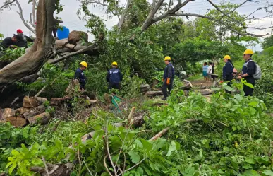 Esta es la evaluación de daños tras el paso del huracán Erick en Oaxaca y Guerrero