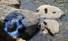 El río de Durango ideal para días de campo a 5 minutos del Pueblo Mágico de Nombre de Dios