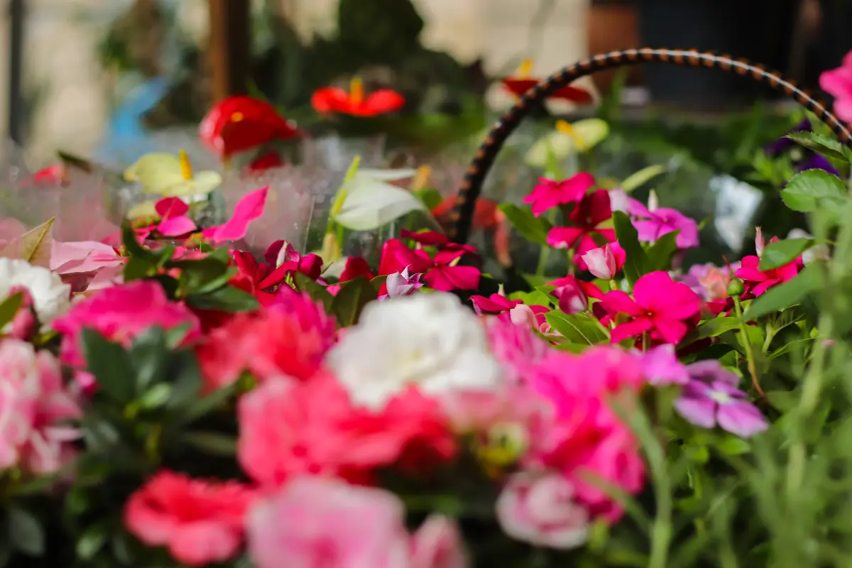 Variedad de flores. Foto: Canva