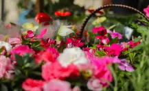 La Feria de las Flores con más de 150 años de historia regresa a CDMX: dónde, cuándo y actividades