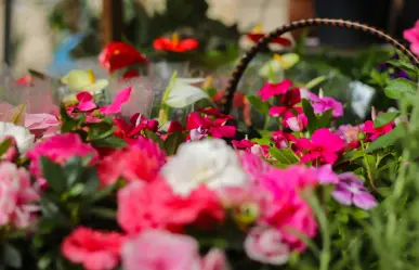 La Feria de las Flores con más de 150 años de historia regresa a CDMX: dónde, cuándo y actividades