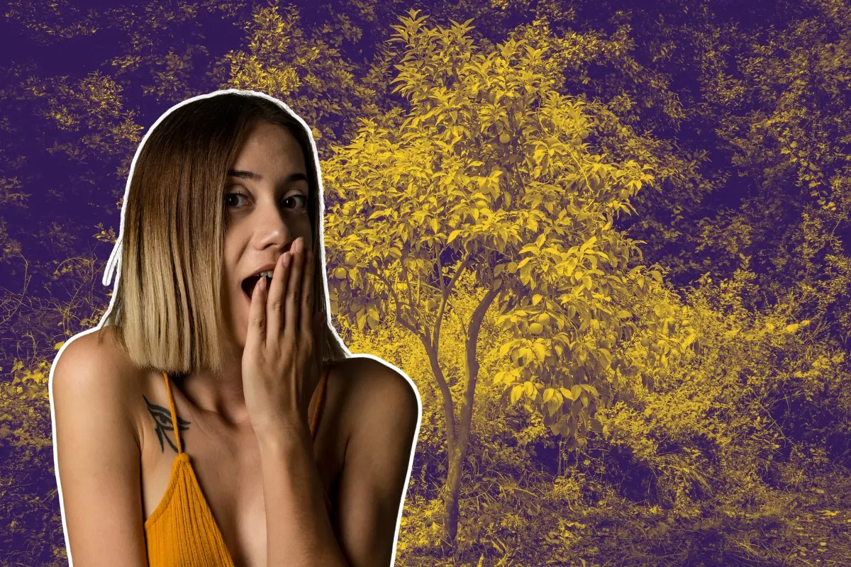 Una mujer y un árbol. Foto: Canva