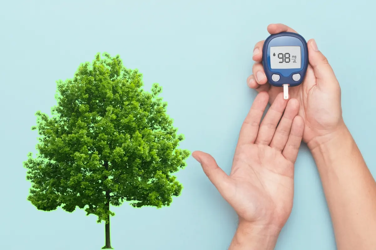Un árbol y una persona midiendo sus niveles de glucosa en la sangre. Foto: Canva