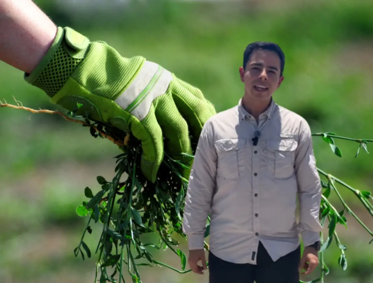 Se estima que se recolectarán más de 60 toneladas de escombro, una medida que no solo contribuirá a mejorar la estética de la zona. Foto: Canva/Gobierno de General Zuazua.