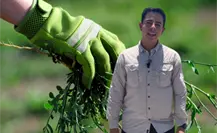 Zuazua apuesta por limpieza y orden contra tiraderos clandestinos