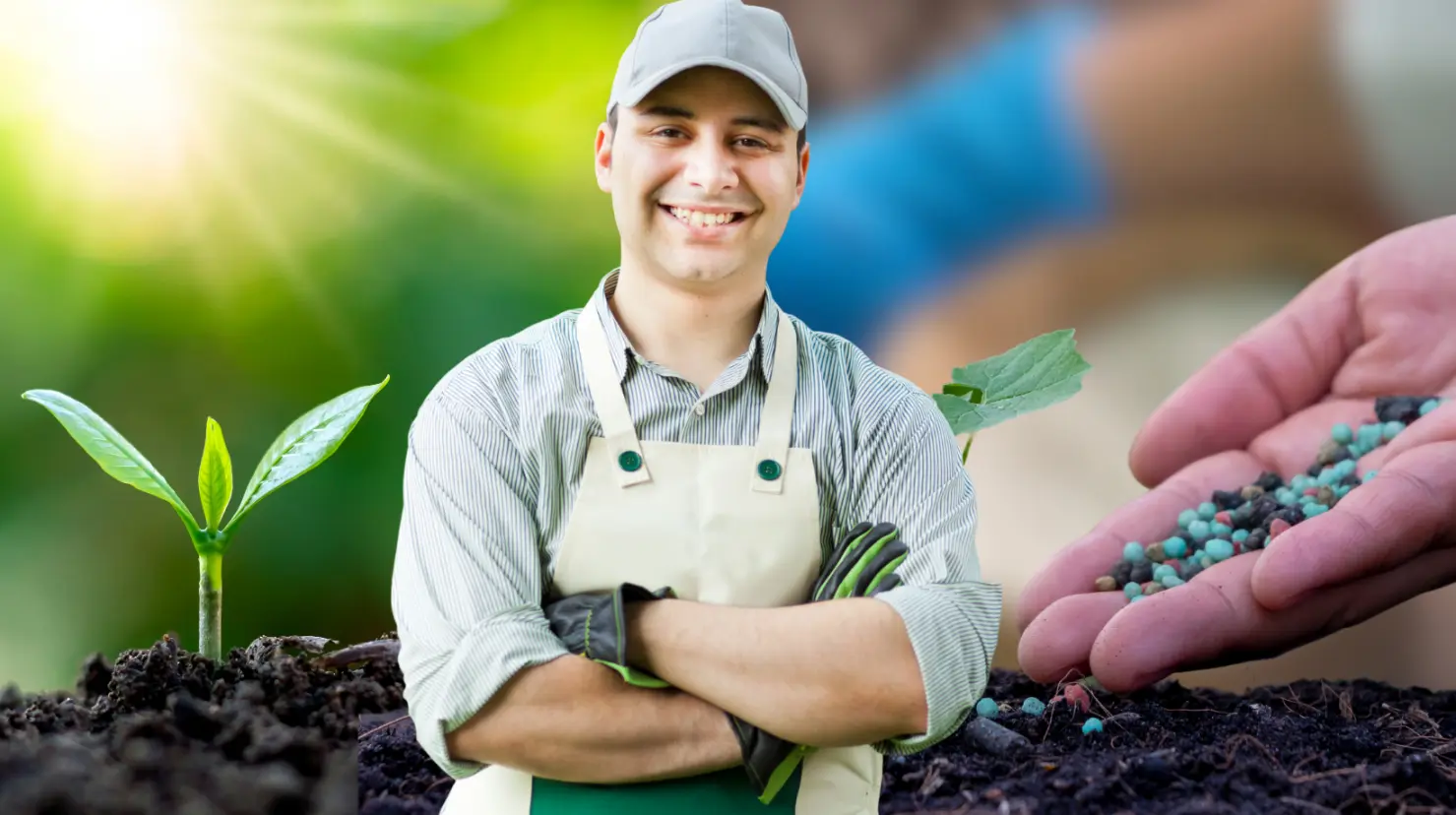 Guía práctica para hacer abono para tus plantas con 3 ingredientes. Foto: Canva.