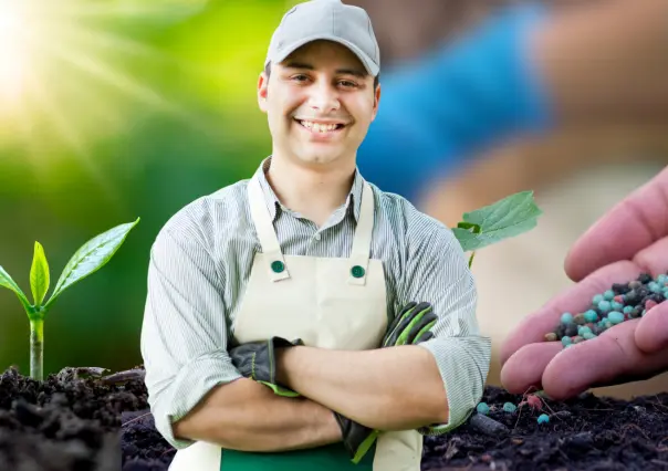 Guía práctica para hacer abono para tus plantas con 3 ingredientes