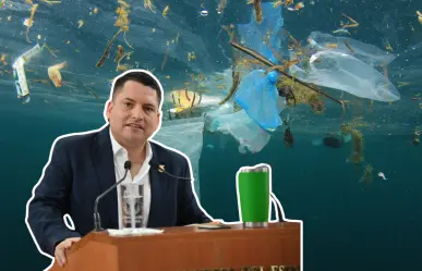 ¿Qué pasó con la ley Desplastifícate en BCS? Diputado exige que se aplique de verdad