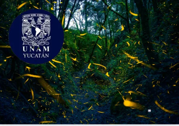 Festival de Luciérnagas Gratis en la UNAM, ¿cuándo aprender más de estos insectos brillosos?