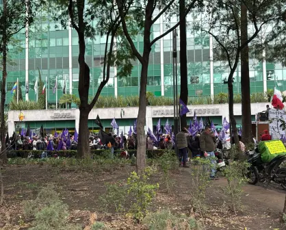 Mitin en Paseo de la Reforma respalda a Claudia Sheinbaum por aranceles de Estados Unidos