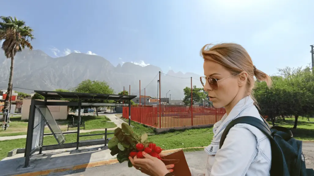 El increíble mercadito junto a un parque en Santa Catarina