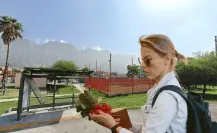 El increíble mercadito junto a un parque en Santa Catarina