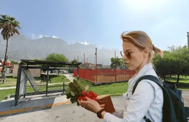 El increíble mercadito junto a un parque en Santa Catarina