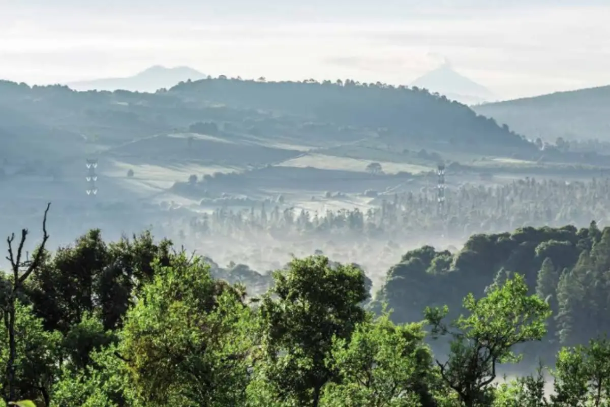 Milpa alta CDMX, Foto: Gobierno de México