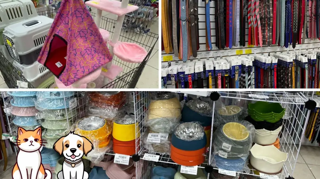 ¡Ropa y accesorios para tu mascota en Celtok! El outlet en CDMX con descuentos de hasta el 50%