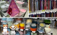 ¡Ropa y accesorios para tu mascota en Celtok! El outlet en CDMX con descuentos de hasta el 50%