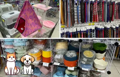 ¡Ropa y accesorios para tu mascota en Celtok! El outlet en CDMX con descuentos de hasta el 50%