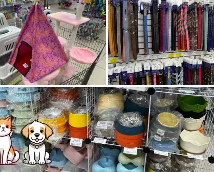 ¡Ropa y accesorios para tu mascota en Celtok! El outlet en CDMX con descuentos de hasta el 50%