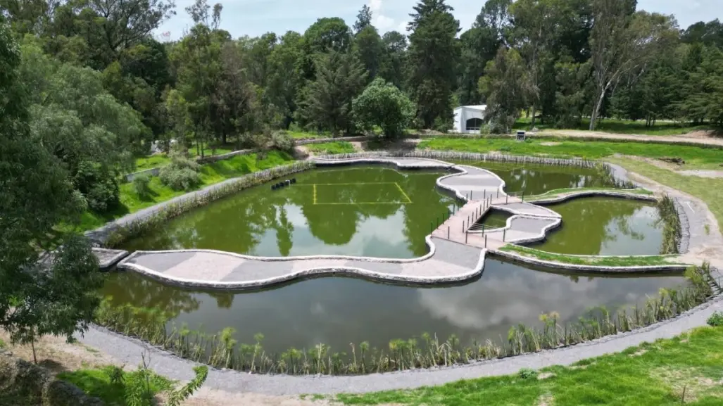 Parque del Ajolote: Conoce todos los detalles sobre este increíble lugar en Puebla