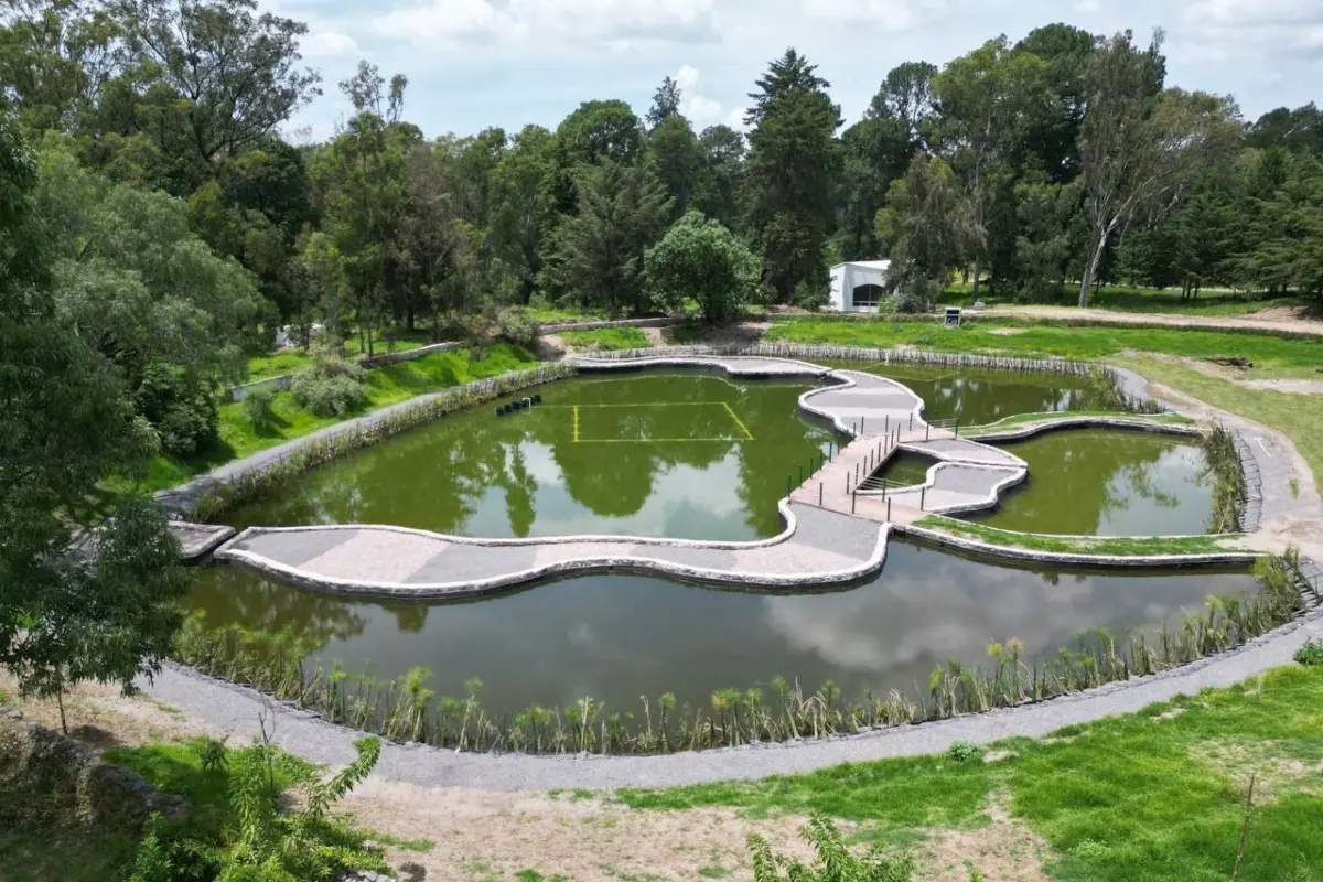 Lago del Parque del Ajolote Foto: X(Twitter) @gerenciachpue