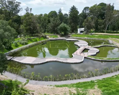 Parque del Ajolote: Conoce todos los detalles sobre este increíble lugar en Puebla