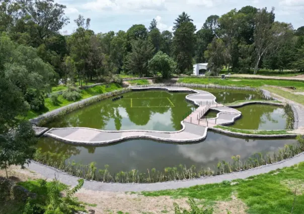 Parque del Ajolote: Conoce todos los detalles sobre este increíble lugar en Puebla