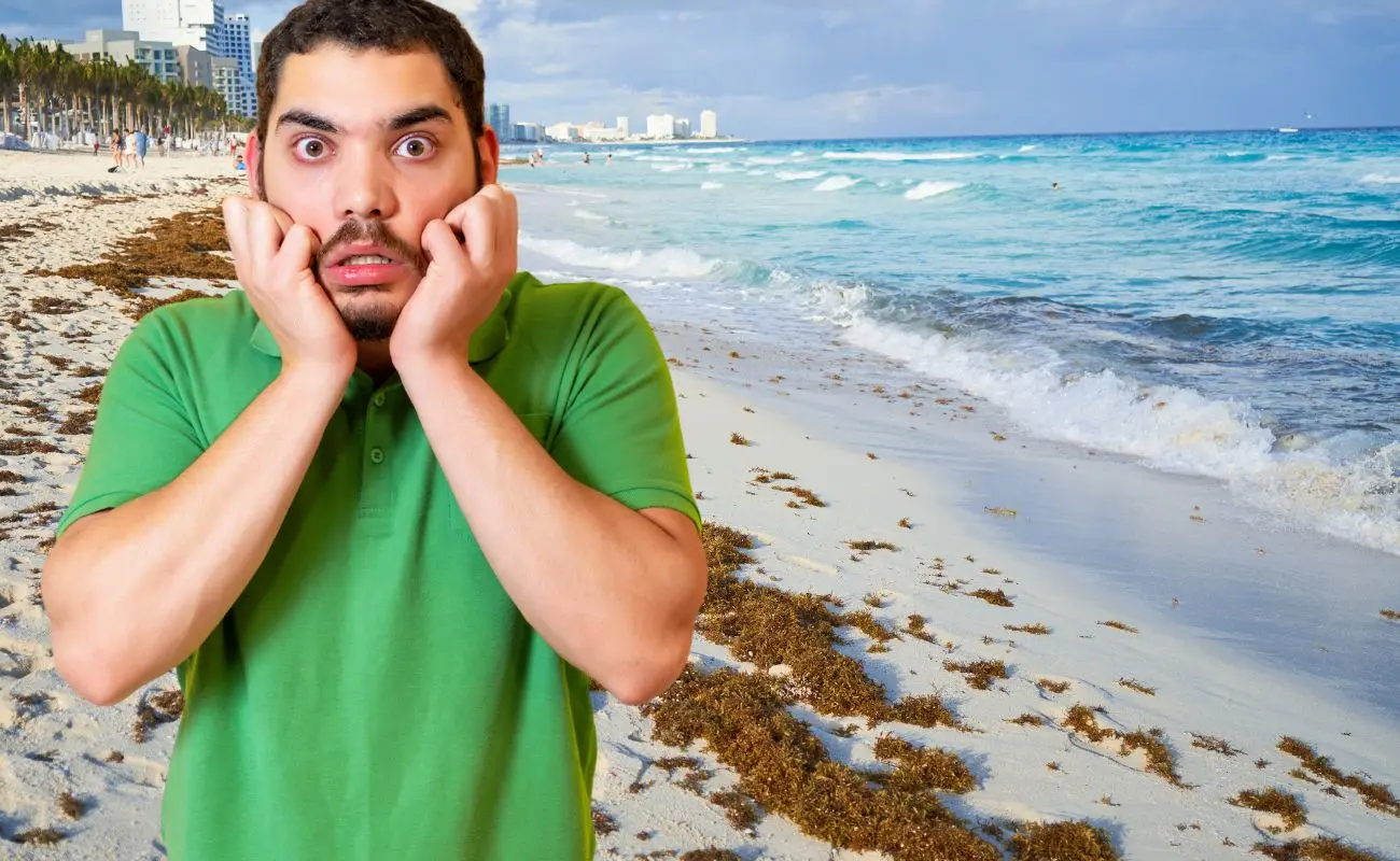 ¿Cuáles son las playas sin sargazo en Quintana Roo? Foto: Canva