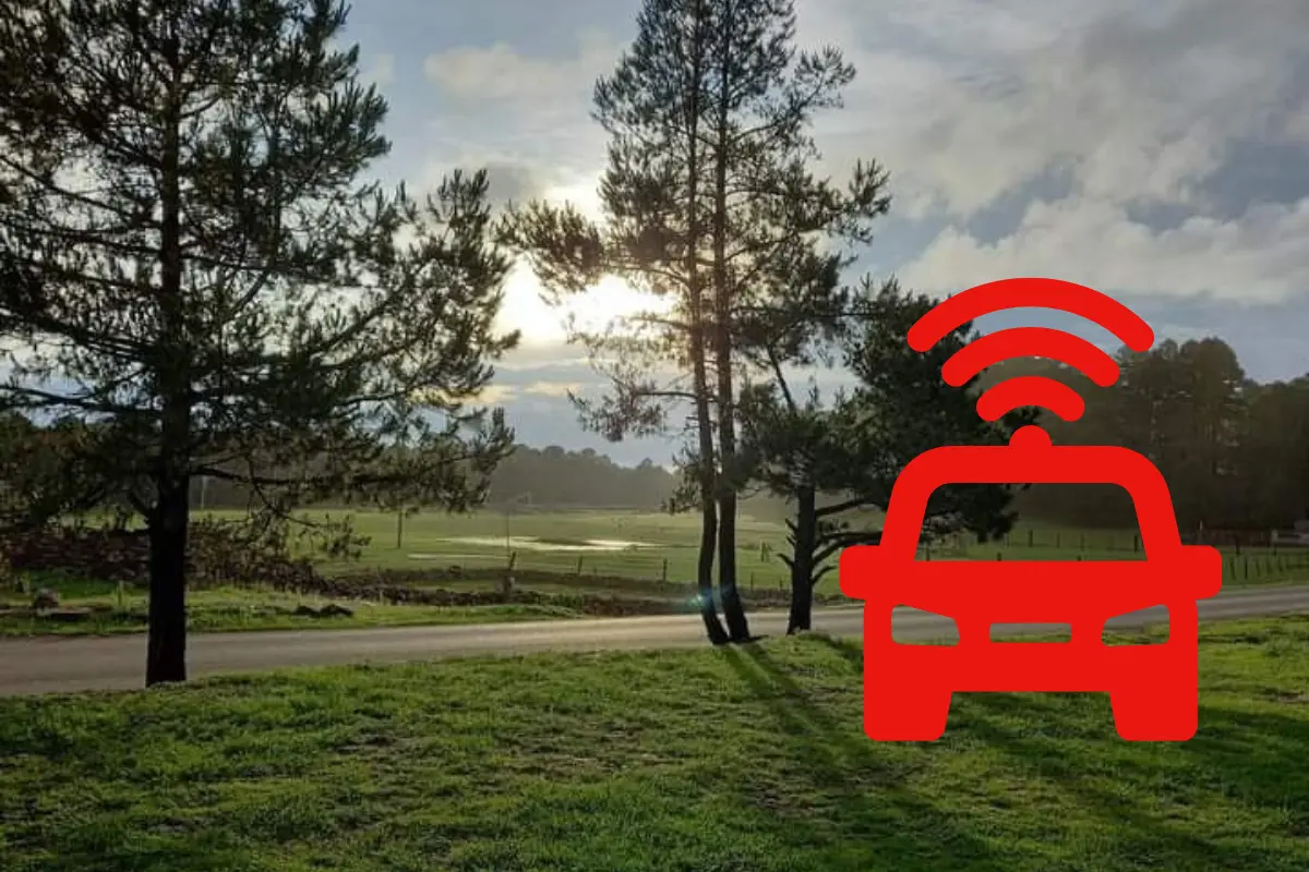Por esta carretera se puede llegar a poblados en donde se puede admirar el bosque de Durango. Foto: Especial.