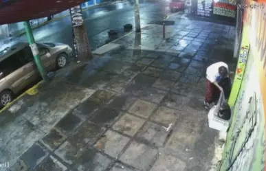 VIDEO | Captan robo de cobija a perrito callejero en Iztapalapa, ¡ya ni los lomitos se salvan!