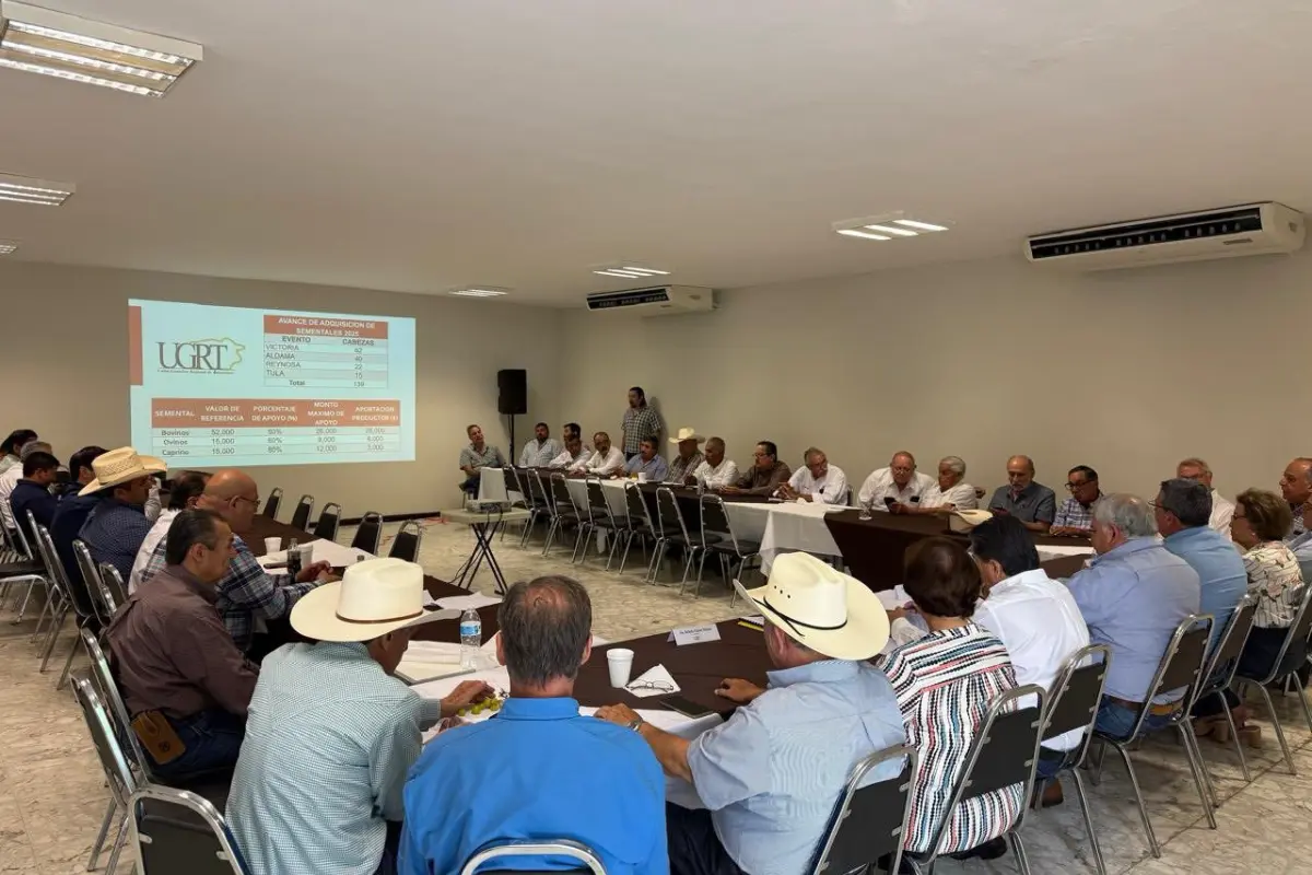 El resultado de esta revisión será clave para mantener la autorización federal que permite exportar ganado hacia los Estados Unidos. Foto: UGRT