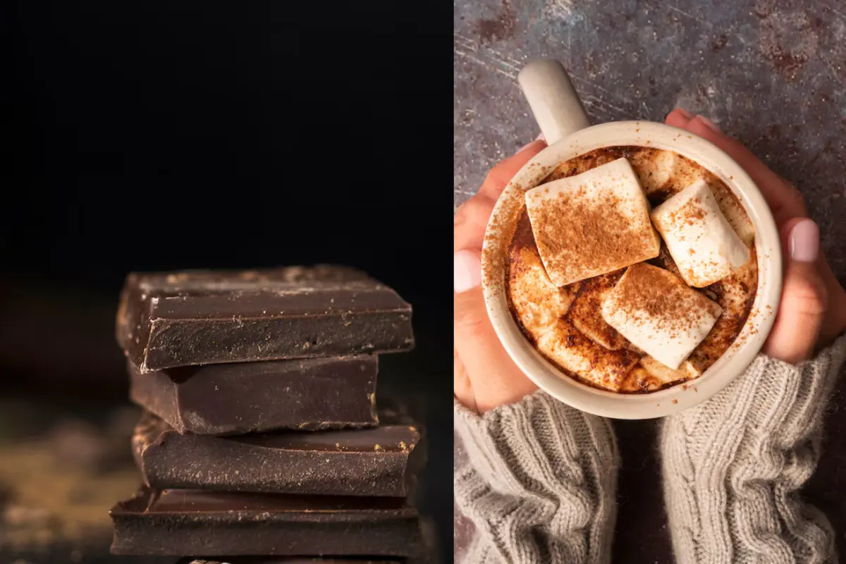 Chocolate casero tamaulipeco, el ideal para tiempos de lluviaFREEPIK