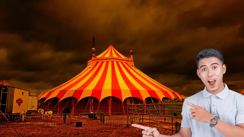 La Feria San Pedro 2025: 3 curiosidades del circo climatizado