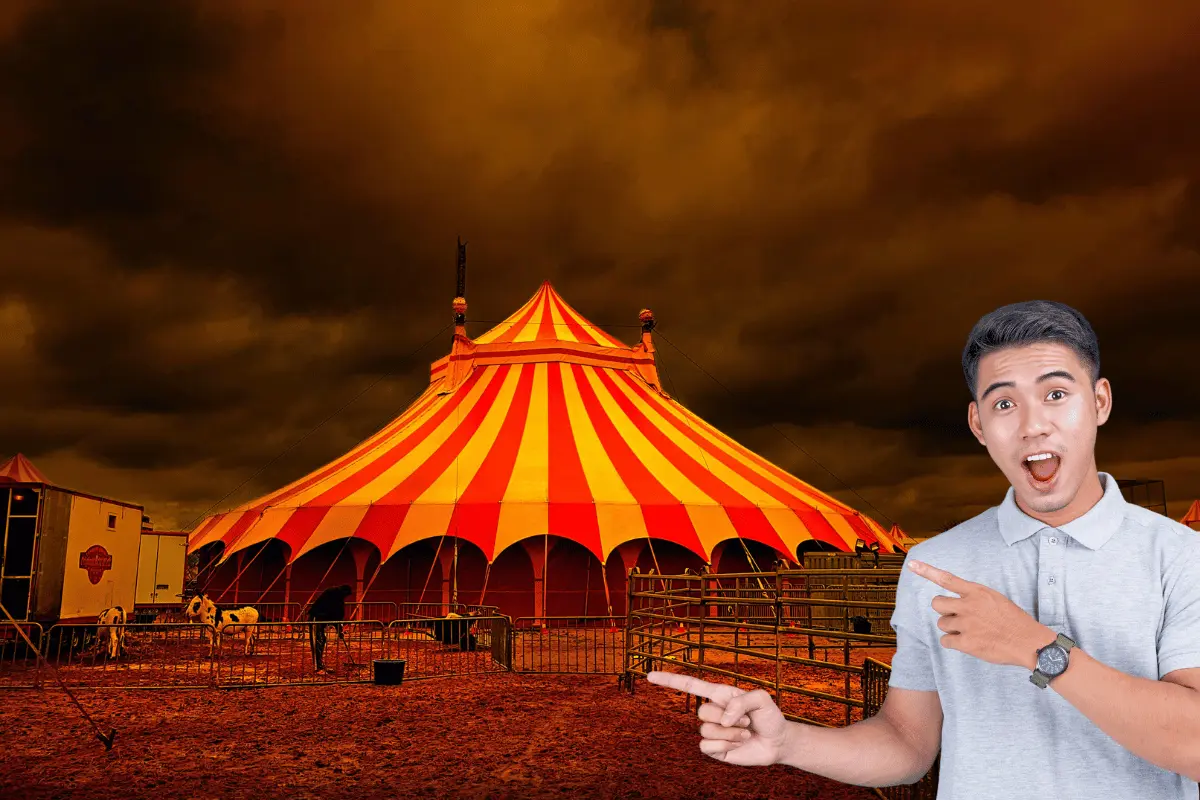 No te pierdas el circo climatizado en La Feria San Pedo 2025. Foto: Canva.