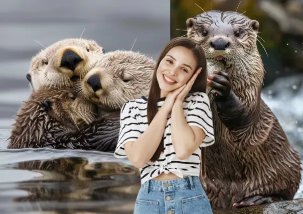 Este animal nativo de Tamaulipas es conocido como el perro de agua