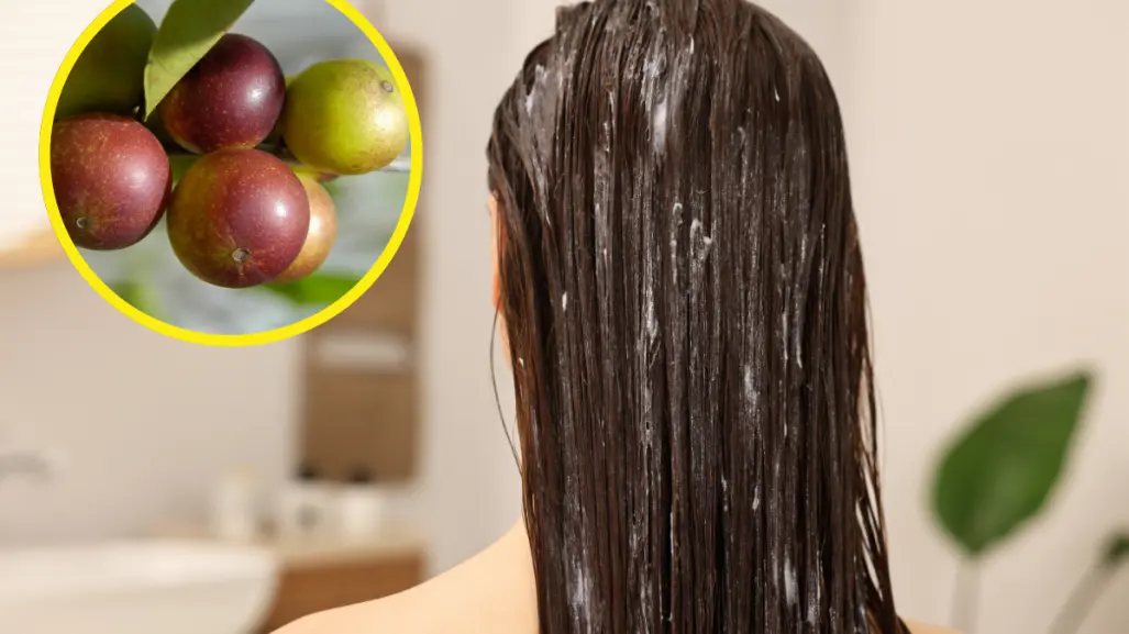 Embellece tu cabello con esta fruta poco conocida de manera fácil y rápida