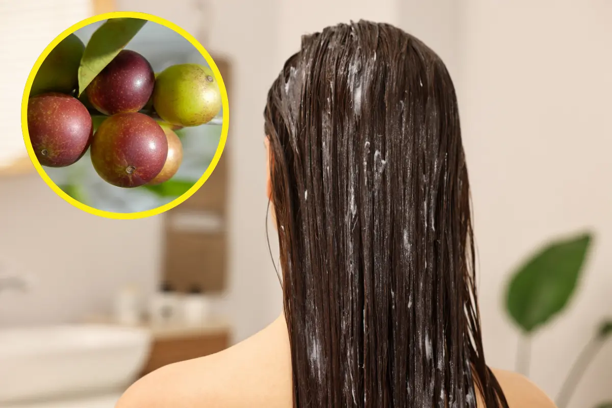El camu camu es fácil de adquirir en supermercados o tiendas en línea. Foto: Canva
