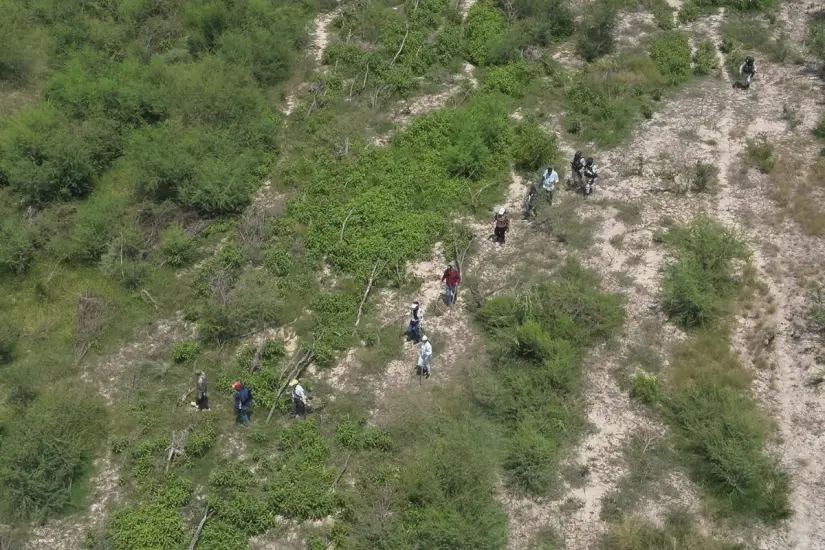 Búsqueda terrestre y aérea en el río Purificación, última ubicación conocida de Edder Alfonso. Foto: Ramón Sánchez