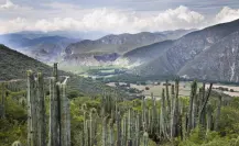 Hidalgo : Descubre esta joya entre el ecoturismo y la espiritualidad