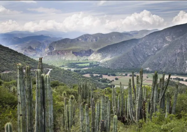 Hidalgo : Descubre esta joya entre el ecoturismo y la espiritualidad