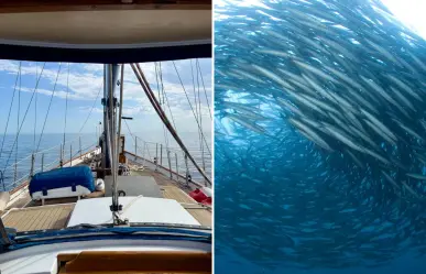 Descubre Isla Espíritu Santo desde La Paz: naturaleza y aventura a un paso