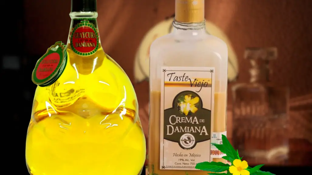 ¿Ya probaste el licor de damiana? El tesoro natural y afrodisiaco de Baja California Sur
