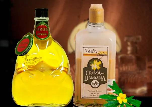 ¿Ya probaste el licor de damiana? El tesoro natural y afrodisiaco de Baja California Sur