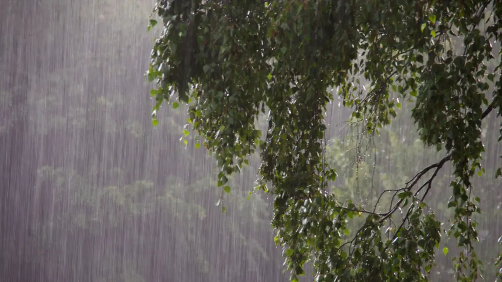 Clima en Edomex para este 21 de junio, ¿cuál será el pronóstico del tiempo este fin de semana?