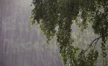Clima en Edomex para este 21 de junio, ¿cuál será el pronóstico del tiempo este fin de semana?